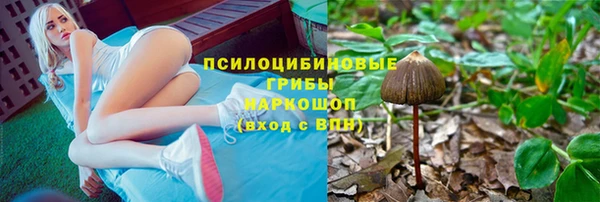 спайс Армянск