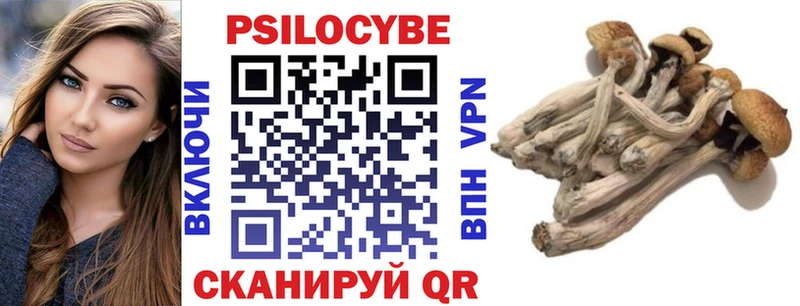 Галлюциногенные грибы прущие грибы  Купить закладки  Порхов 